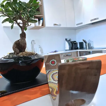 Apartamento Vieil *